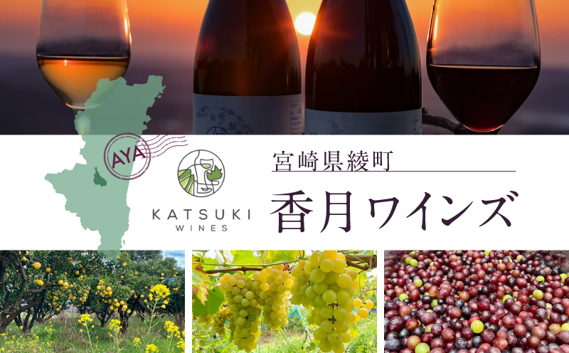 2024 綾ルージュ ワイン（赤／750ml）