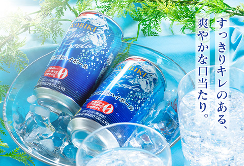 【雲海酒造】九州限定 木挽BLUE ハイボール 350ml×48本（木挽ブルー） 48本