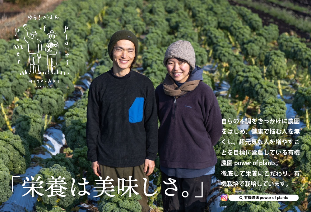 綾町産有機ケール 500g [おすすめレシピ付き]