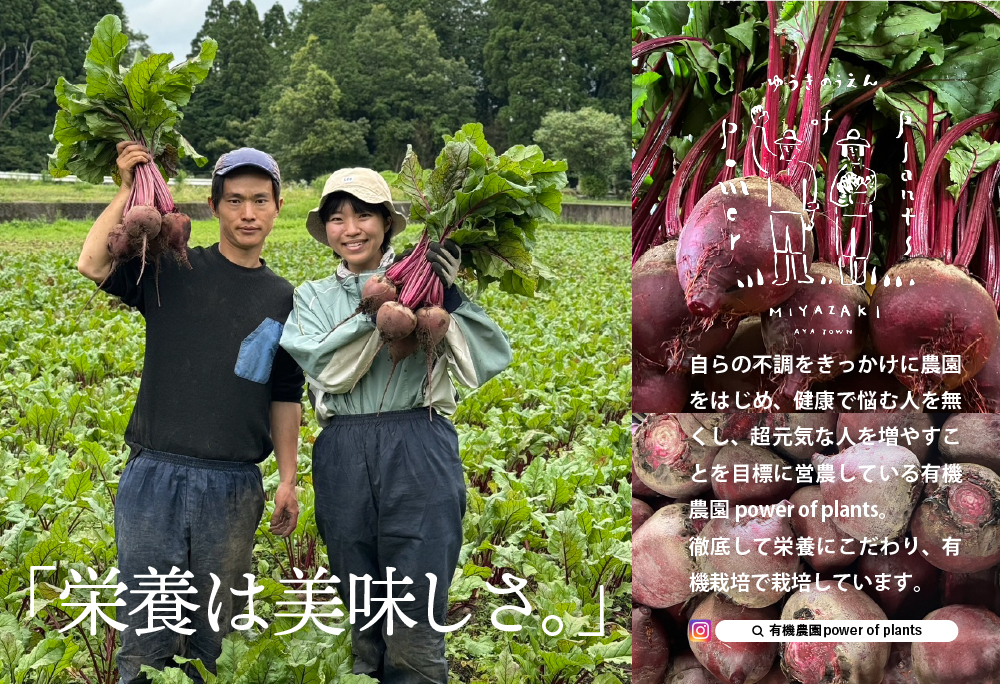 綾町産ビーツ ２kg[おすすめレシピ付き]