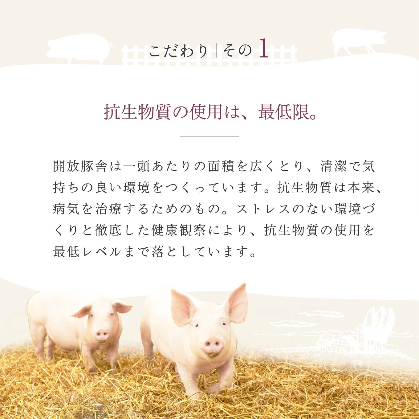 「綾ぶどう豚」とんかつ屋の肩ロース味噌漬 4枚×2パック