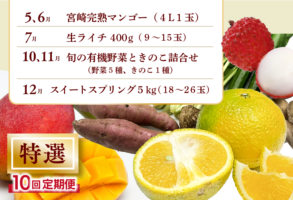 【全10回お届け】特選！！宮崎県綾町産 果物・野菜定期便 [Y21] 全10回定期便