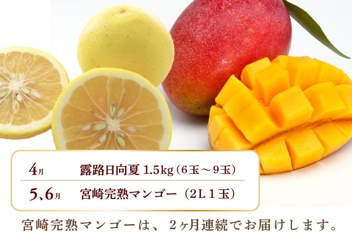 【全6回お届け】宮崎県綾町産 果物定期便 [X22]