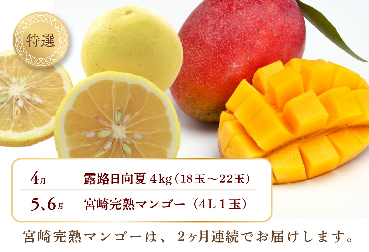 【全6回お届け】特選！！宮崎県綾町産 果物定期便 [Y22]