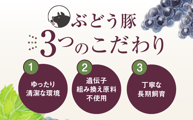 国産 豚肉 ブランド 豚 綾ぶどう豚 切り落とし 4か月 定期便 セット 指定月 中旬 お届け
