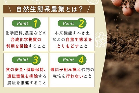 「お好きな時にいつでもお届け」本日のお野菜セット【全6回】