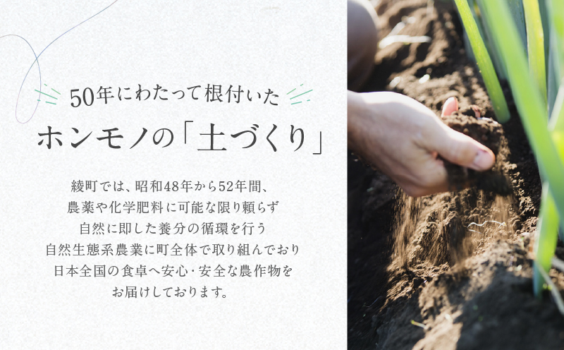 【返礼品なしの寄附】宮崎県綾町 ＜自然生態系農業に関する事業を応援＞ 1,000円 寄附のみ 応援寄附 寄付