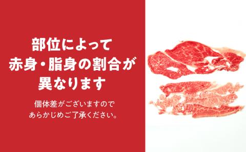 宮崎牛 肩 ロース ウデ スライス セット 計700ｇ 牛肉 肉 国産 しゃぶしゃぶ すきしゃぶ スライス 食べ比べ 小分け 赤身 ブランド牛 ギフト 贈り物 九州 宮崎 霜降り