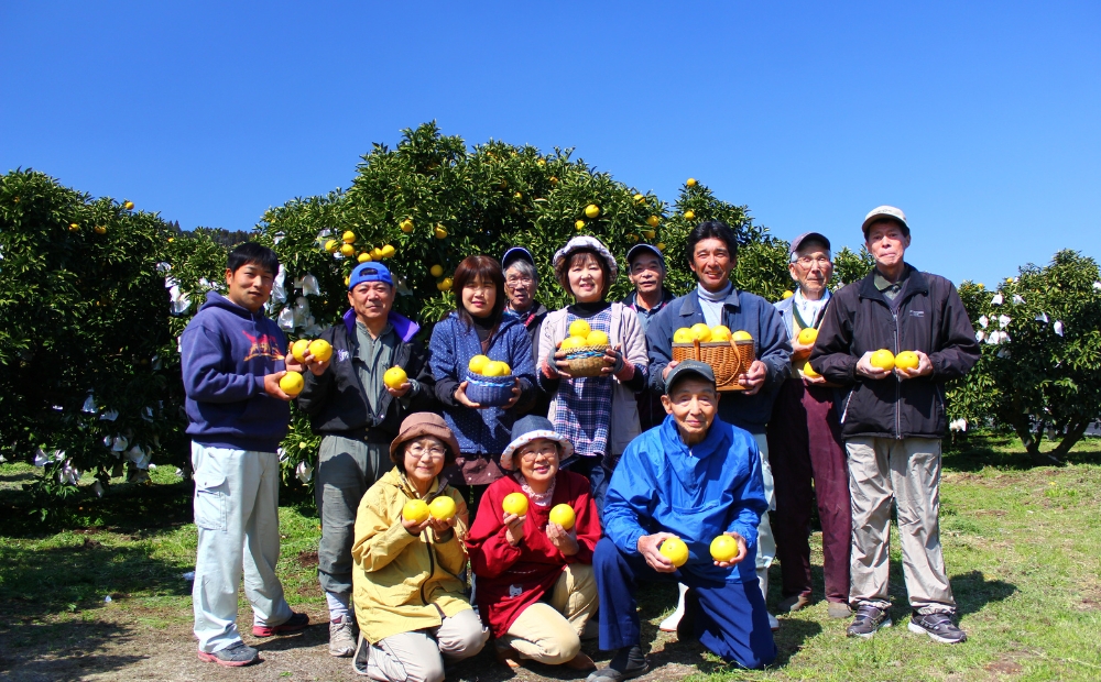 綾の日向夏ドリンク「綾夏ちゃん果汁30％」【缶24本入】