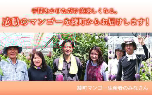 完熟マンゴー ３L～４L×２玉（パック）【濃厚 宮崎 高級 果物 フルーツ 贈答 ギフト 甘い 先行受付 送料無料】