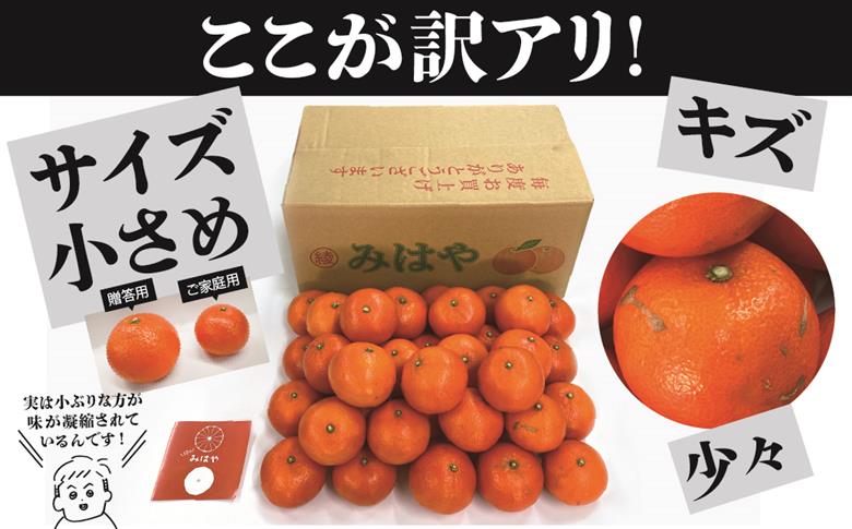 みはや 5kg【訳あり】