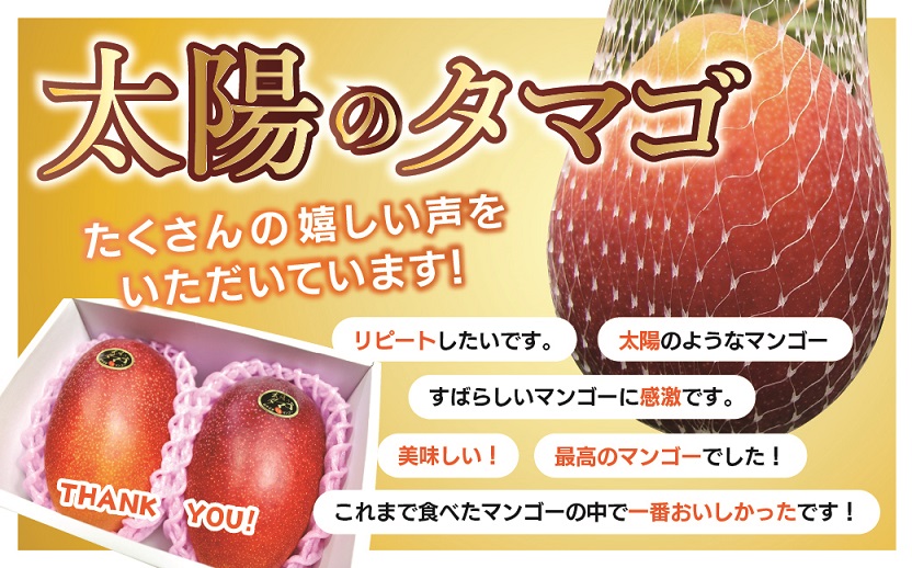 完熟マンゴー『太陽のタマゴ』３玉（約１kg）