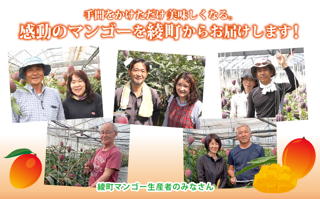 完熟マンゴー ２L×２玉（パック）