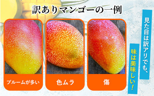 【訳あり】完熟マンゴー 2L×2玉（パック）濃厚 宮崎 果物 フルーツ 贈答 ギフト 甘い 先行受付 送料無料
