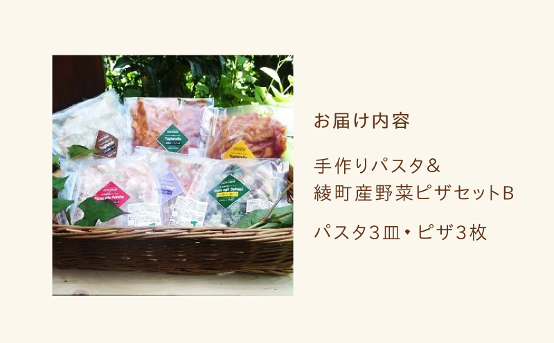 手作り無添加パスタ＆綾町産野菜天然酵母ピザセットB