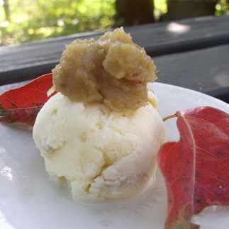 白砂糖フリー フルーツの手作りジャムセット