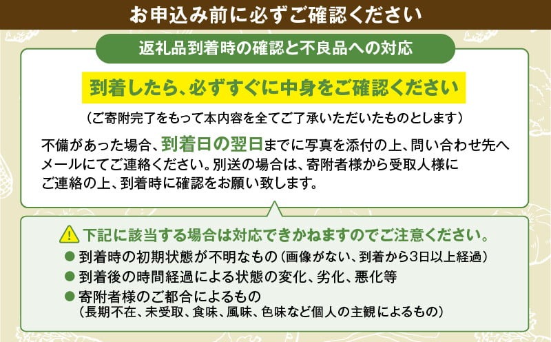 【全４回定期便】春夏秋冬 季節のお野菜セット（サイズ中） 【宮崎県 10種 定期便 詰め合わせ 新鮮 産地直送 おまかせ 季節の野菜 ボックス 農家直送 有機栽培 送料無料 オーガニックのまち 宮崎県綾町】 中