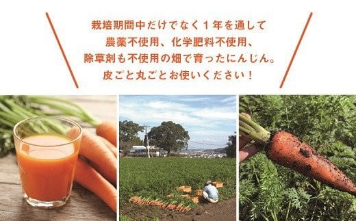 【有機JAS】 ジュースに最適！たっぷりにんじん10kg！（訳ありふぞろい規格） 10kg