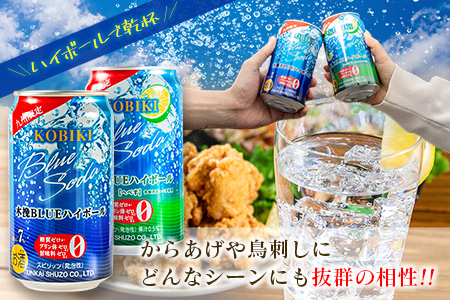 【雲海酒造】木挽BLUE ハイボール2種セット 350ml×48本（木挽ブルー）