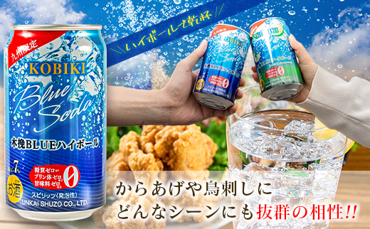 【雲海酒造】九州限定 木挽BLUE ハイボール 350ml×12本（木挽ブルー） 12本