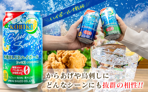【雲海酒造】宮崎限定 木挽BLUE ハイボール へべす 350ml×12本（木挽ブルー） 12本