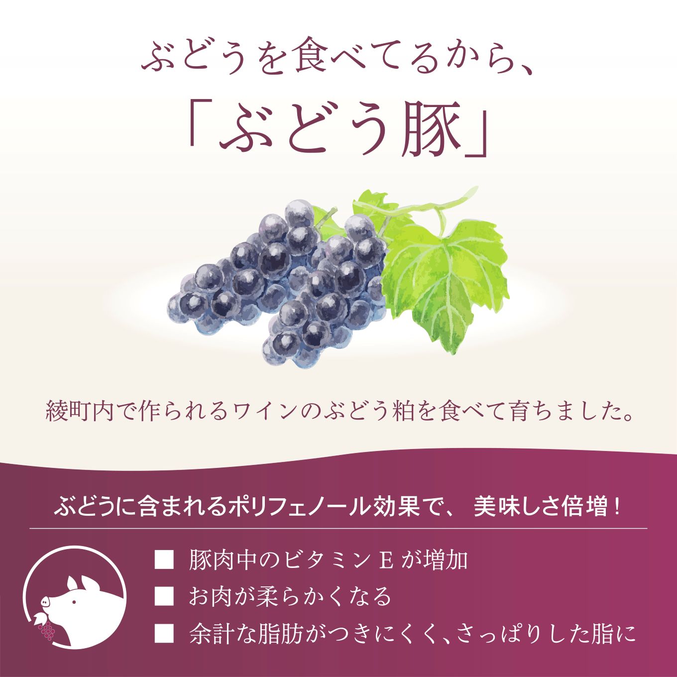 「綾ぶどう豚」とんかつ屋の肩ロース焼肉 500g
