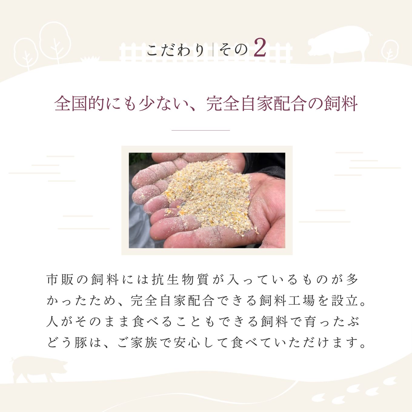 「綾ぶどう豚」とんかつ屋の肩ロース味噌漬 4枚×2パック