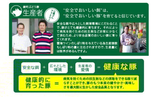 国産 豚肉 ブランド 豚 綾ぶどう豚 切り落とし 4か月 定期便 セット 指定月 中旬 お届け