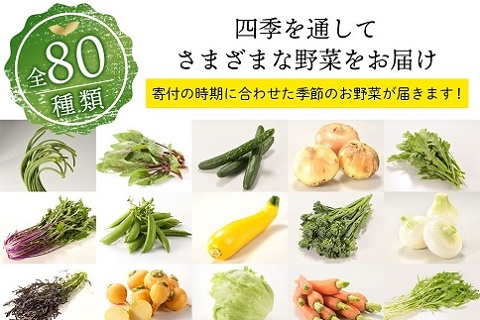 「お好きな時にいつでもお届け」本日のお野菜セット【全6回】