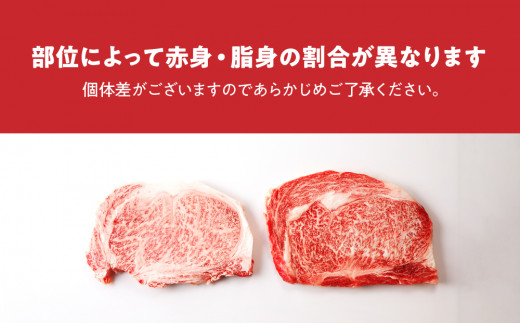 宮崎牛 ロース ステーキ 4枚 1kg 牛肉 肉 国産 小分け ブランド牛 ギフト 贈り物 九州 宮崎 霜降り