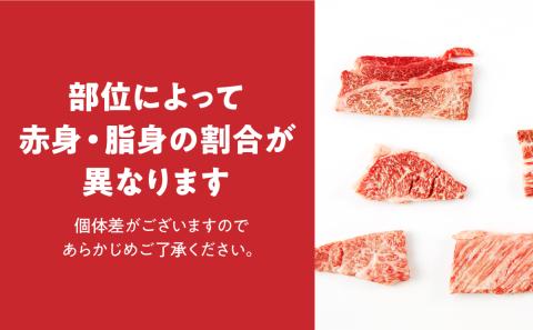 宮崎牛 焼肉 食べ比べ セット 1.1kg 牛肉 肉 国産 焼き肉 スライス 小分け 赤身 ブランド牛 ギフト 贈り物 九州 宮崎 霜降り 赤身