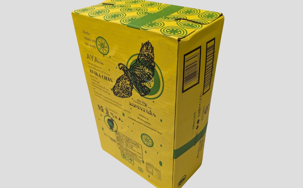 綾の日向夏ドリンク「綾夏ちゃん果汁30％」【缶24本入】