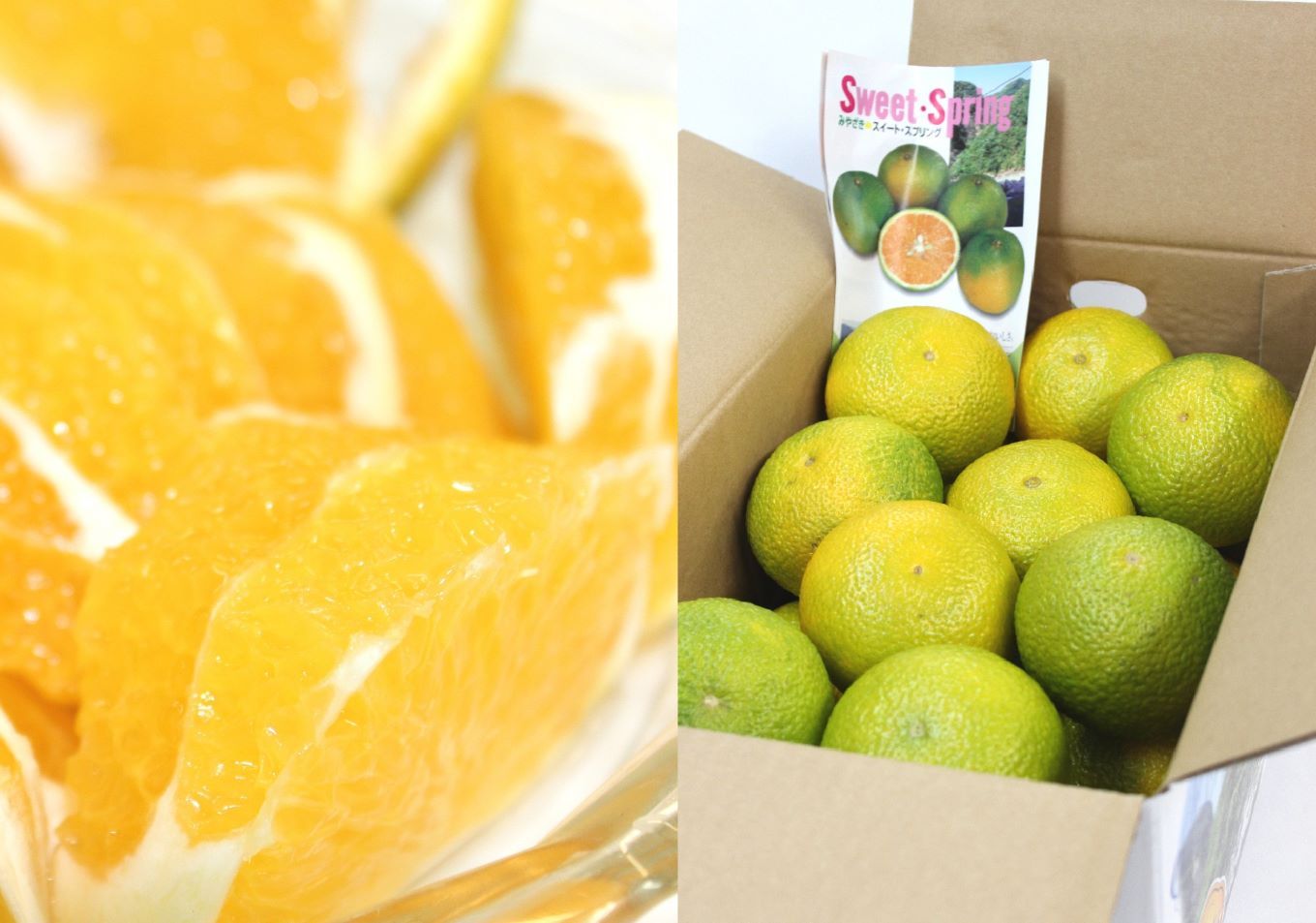 希少柑橘「スイートスプリング」5kg [化粧箱]