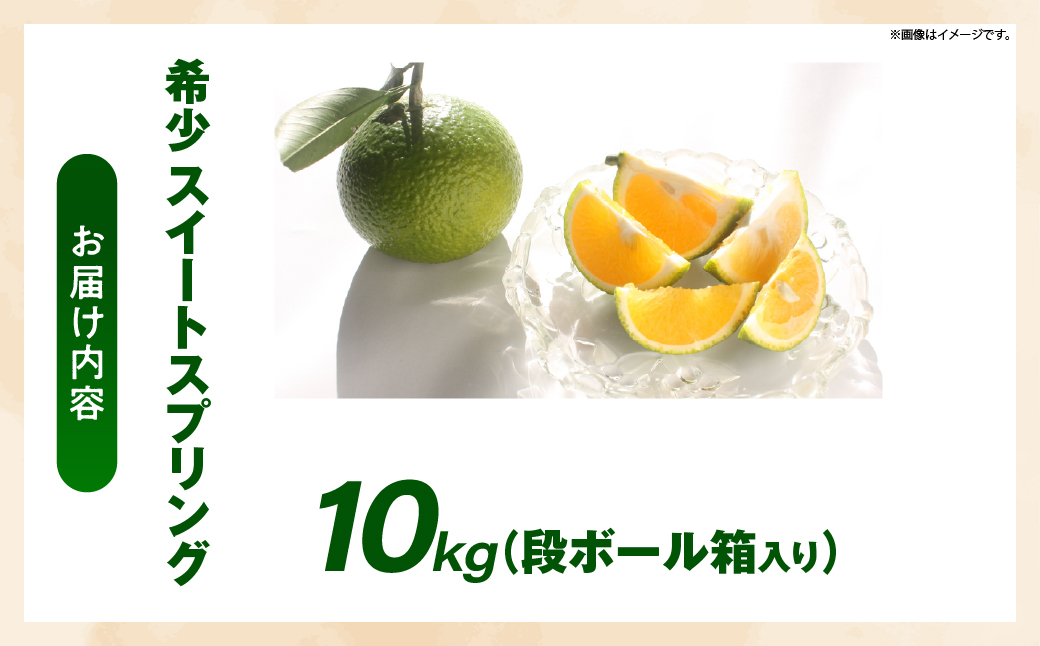 【先行予約】希少柑橘「スイートスプリング」10kg 果物 フルーツ くだもの 柑橘 オレンジ みかんジュース おすすめ プレゼント おすそ分け おやつ スイーツ デザート 常温 産地直送 宮崎県 綾町 送料無料【JA綾町】_A0114-259