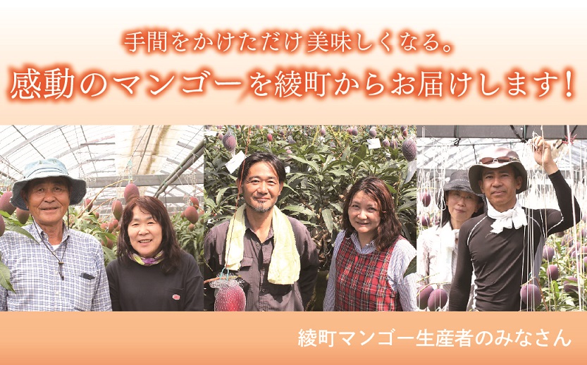 完熟マンゴー『太陽のタマゴ』２玉（約１kg）