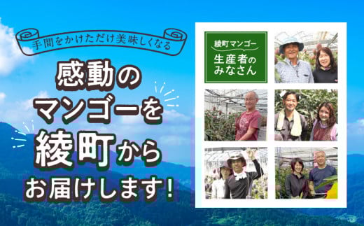 【訳あり】完熟マンゴー 2L×5玉（パック）【濃厚 高級 宮崎 果物 フルーツ 贈答 ギフト 甘い 先行受付 送料無料】
