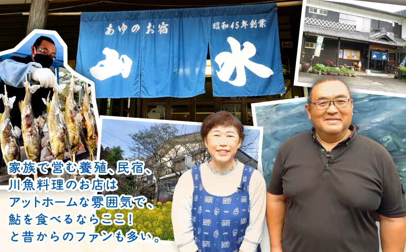 鮎 塩焼き 焼き鮎 5匹 冷凍 香ばしい