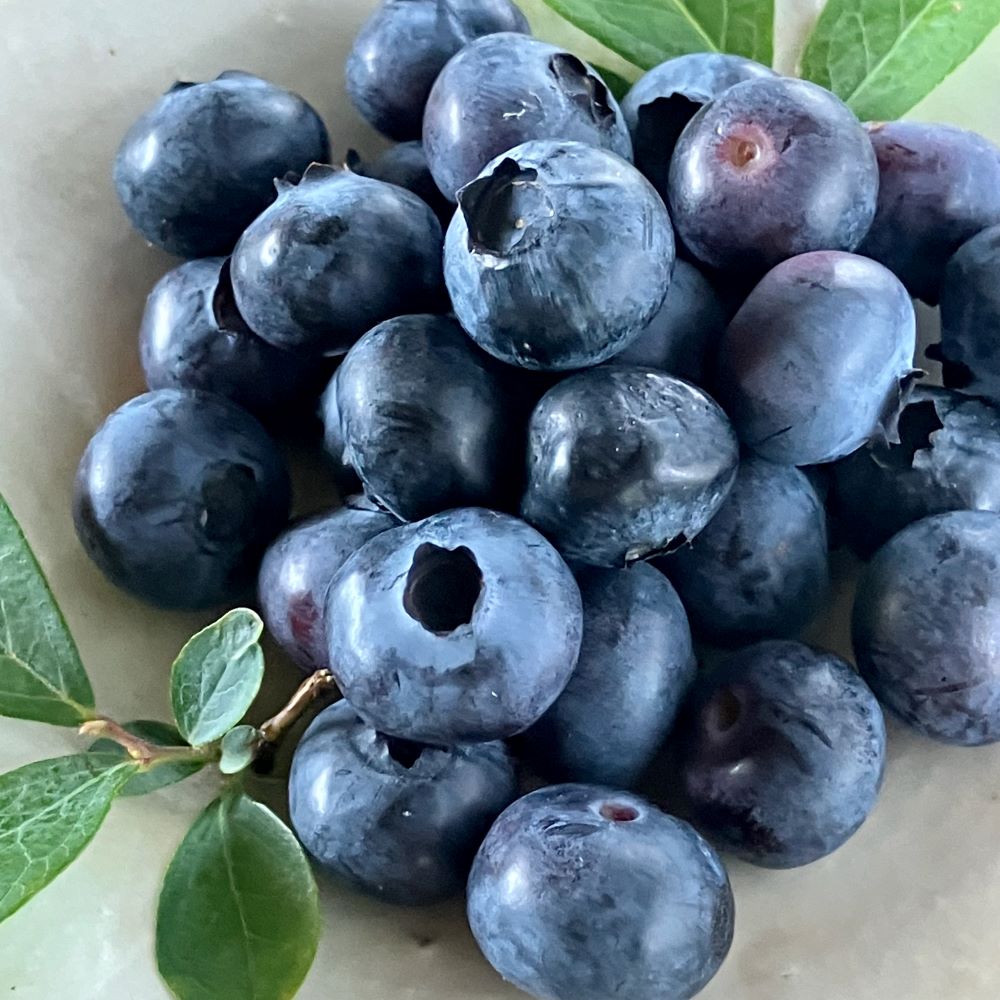 グルテンフリー 生チーズケーキセット（２種類・２個入り）