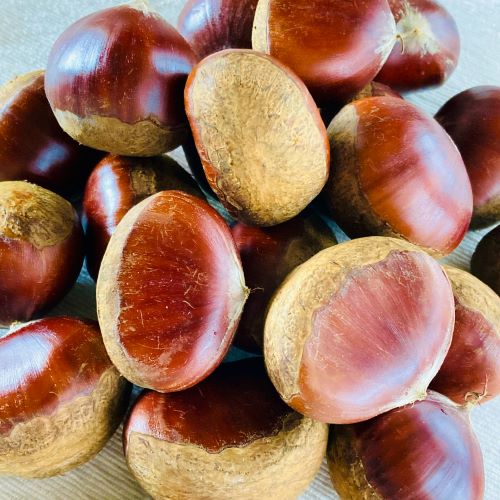 生チーズムース（綾栗）白砂糖不使用♪