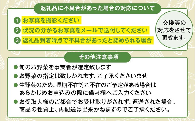【全４回定期便】春夏秋冬 季節のお野菜セット（サイズ大） 【宮崎県 12種 定期便 詰め合わせ 新鮮 産地直送 おまかせ 季節の野菜 ボックス 農家直送 有機栽培 送料無料 オーガニックのまち 宮崎県綾町】 大