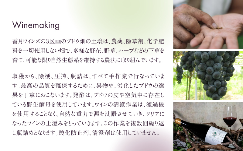 2024 綾トピア ワイン（白／辛口／750ml）