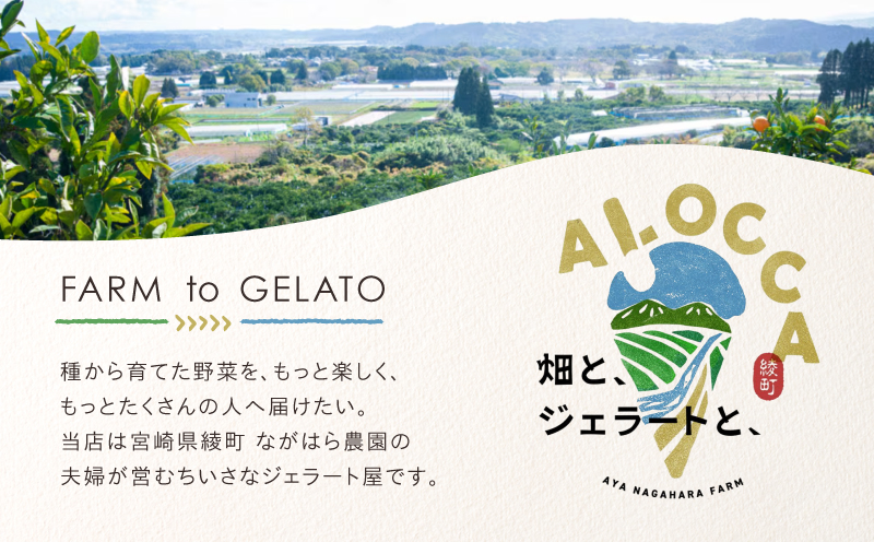 日時指定可能◎オーガニックタウン綾町から届く、季節のクラフトジェラート〈12個セット〉 12個セット