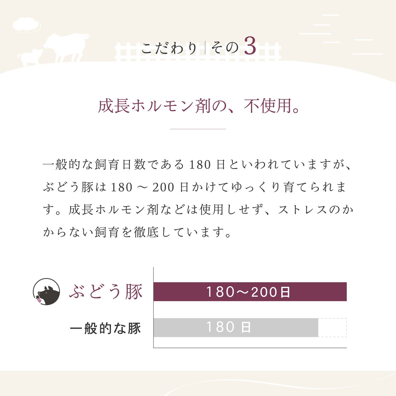 「綾ぶどう豚」とんかつ屋の肩ロース味噌漬 4枚×2パック