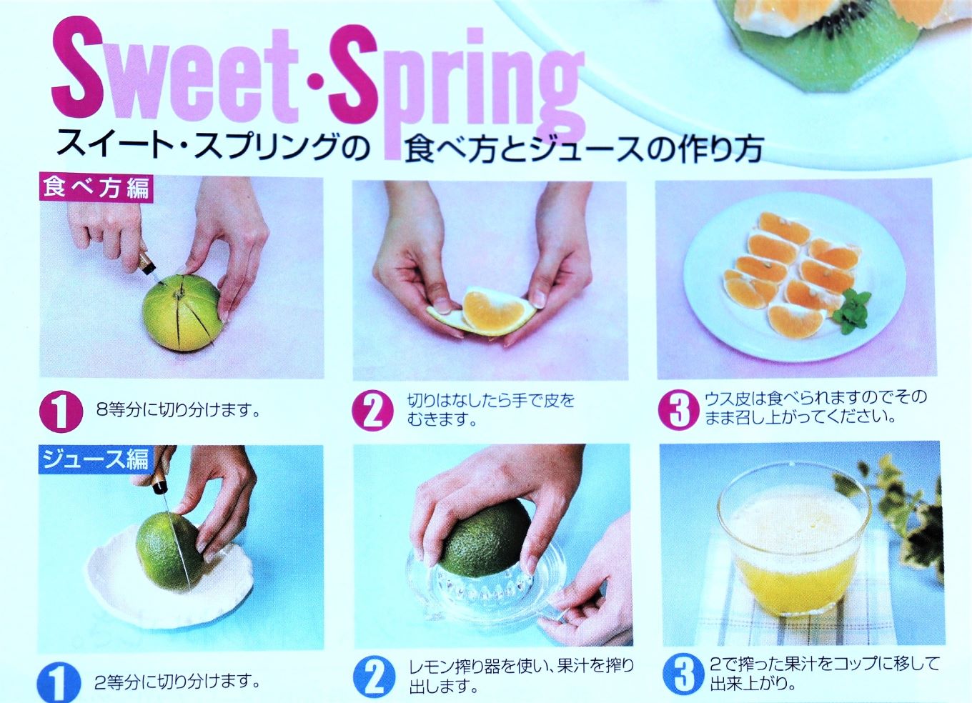 希少柑橘「スイートスプリング」5kg [化粧箱]