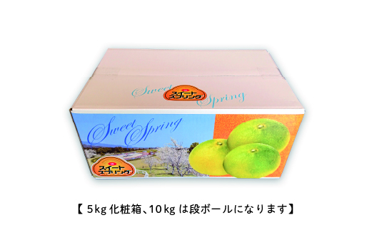 【先行予約】希少柑橘「スイートスプリング」10kg 果物 フルーツ くだもの 柑橘 オレンジ みかんジュース おすすめ プレゼント おすそ分け おやつ スイーツ デザート 常温 産地直送 宮崎県 綾町 送料無料【JA綾町】_A0114-259