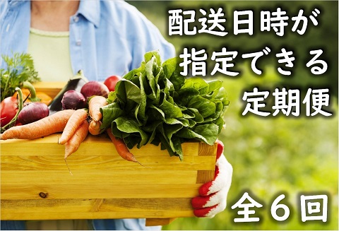 「お好きな時にいつでもお届け」本日のお野菜セット【全6回】