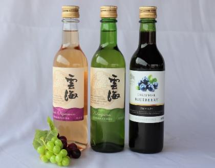 染み渡る　日々の疲れにとろける甘さ　ワインミニボトル　３種　白　ナイアガラ　受賞