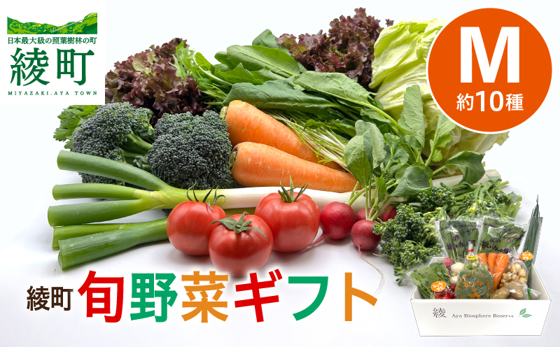 綾町旬野菜ギフト（Mサイズ） 1回