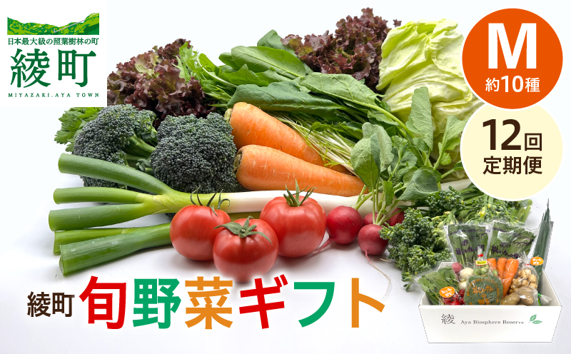綾町旬野菜ギフト（Mサイズ）【全12回定期便】 全12回【定期便】