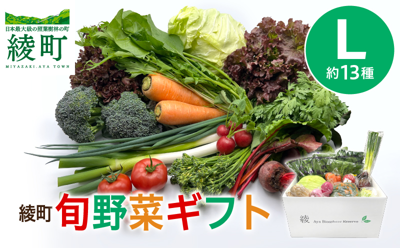 綾町旬野菜ギフト（Lサイズ） 1回